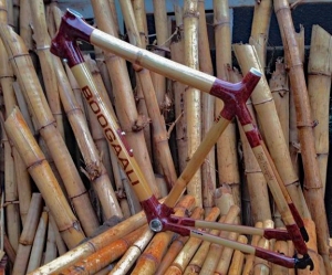 Boogaali-Bamboo Bikes