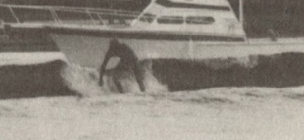 Mike on failed Disney lake wave